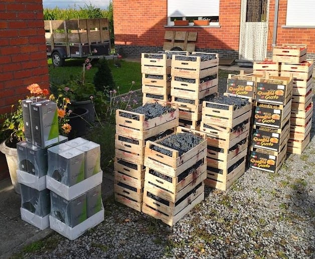 Groepsaankoop: druiven, tomaten en olijfolie.